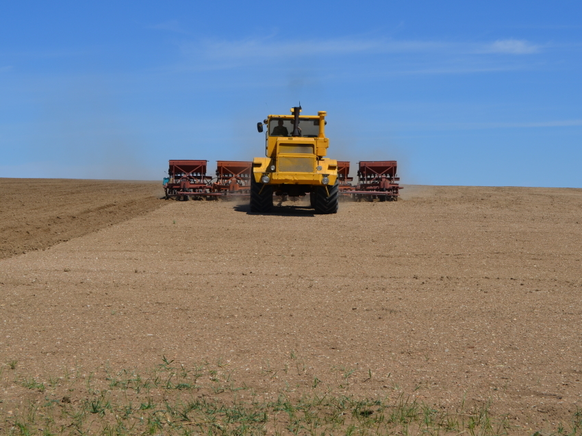 ​Аграрии Забайкалья провели посевные работы на площади 22 тысячи гектаров